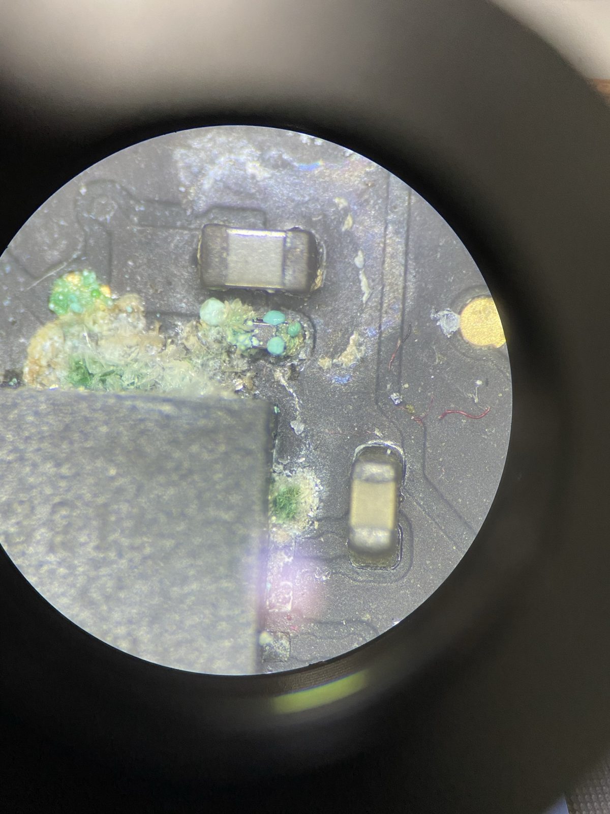 Cristales verdes de corrosión creciendo sobre los componentes de una placa de MacBook, vistos al microscopio